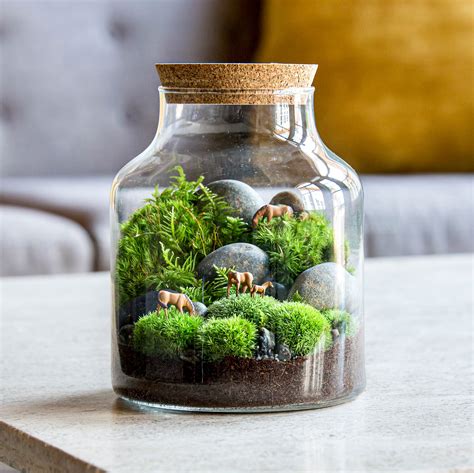 Creating a Beautiful Glass Bowl Terrarium